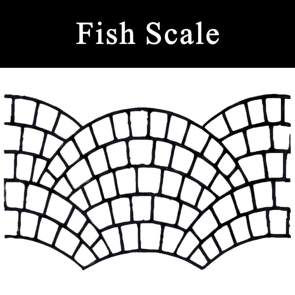 Fish Scale